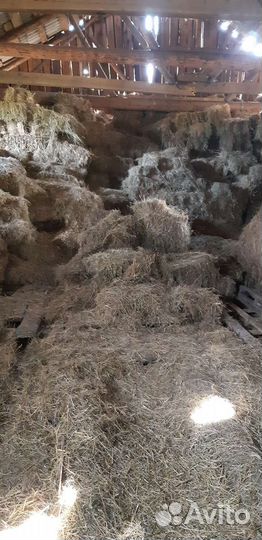 Сено для мульчирования
