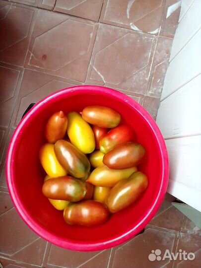 Помидоры сладкие вкусные