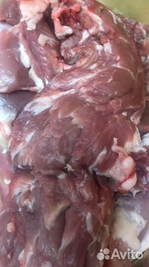 Фарш Свиной Свежайший 8-15 кг