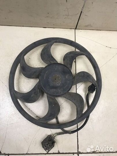 Вентилятор радиатора без диффузора Ford Focus