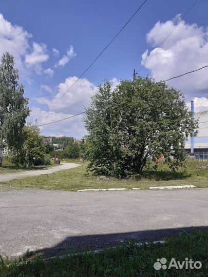 Покос травы тримером