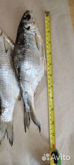 Астраханская вобла вяленая