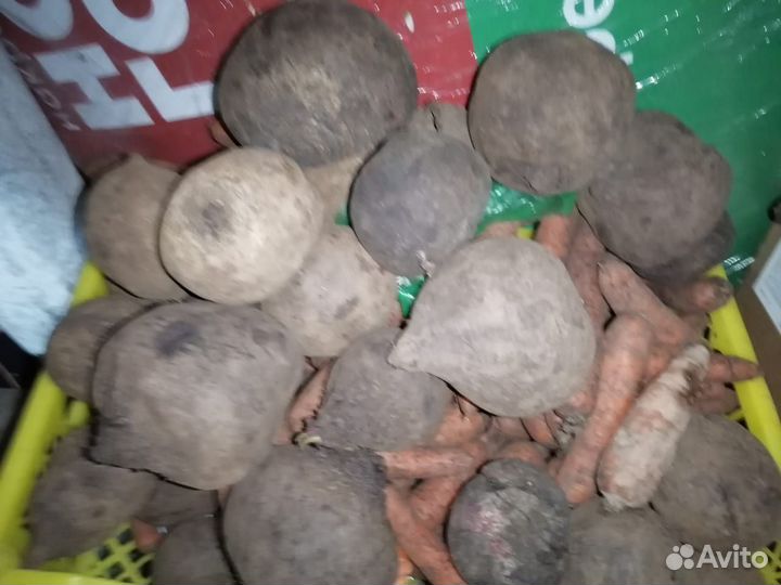 Овощи и фрукты