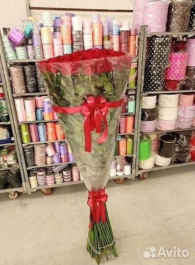 Розы гиганты 140 150 160 170 180 200