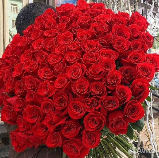 Высокие розы Гигантские розы Доставка цветов