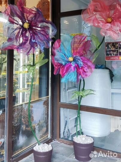 Декорации, Ростовые цветы, Большие цветы, Фотозона