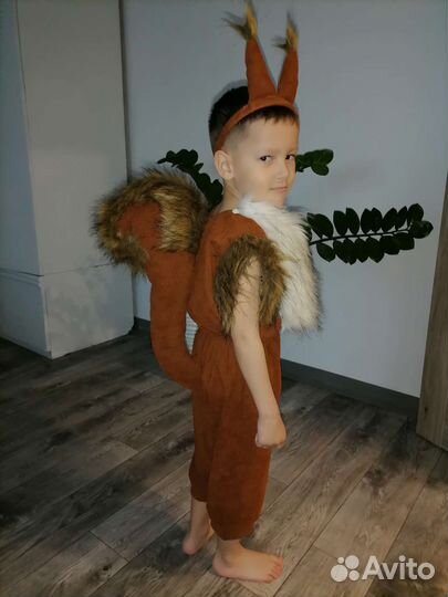 Костюм белки