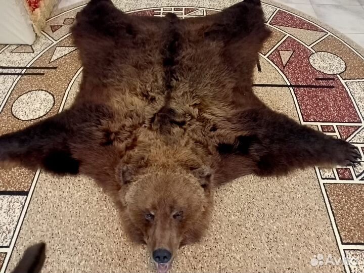 Шкура медведя имитация