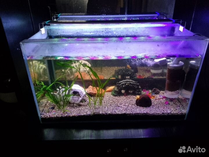 Аквариум и рыбки
