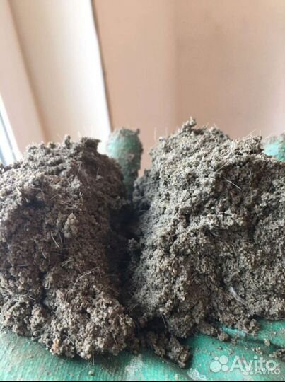 Стяжка Пола Штукатурка Стен