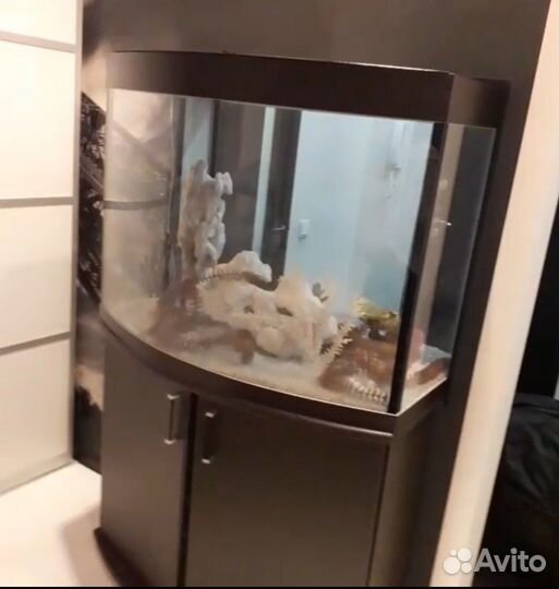 Морской аквариум комплект