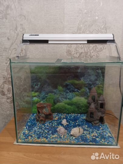 Аквариум