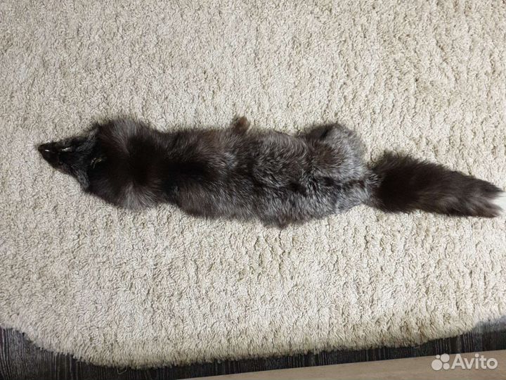 Шкура песца