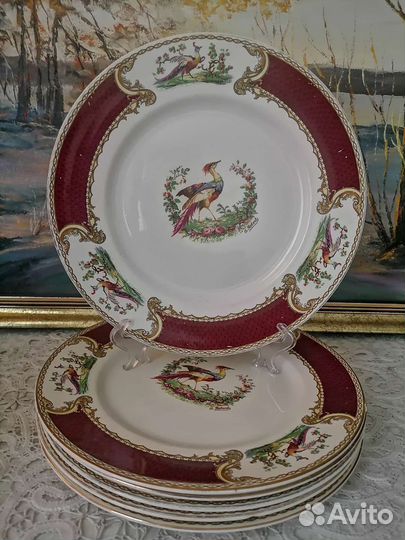 Тарелки Rosenthal, Wedgwood