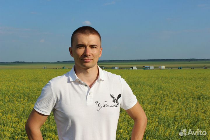 Мёд оптом, своя пасека, от 1 кг - Домодедово