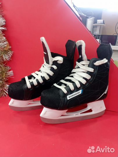 Коньки Nordway now100