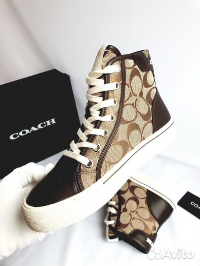 Кеды Coach кожаные 2024