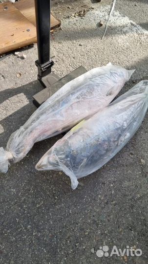 Продам чукотский дикий лосось