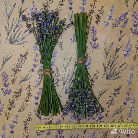 Букетик лаванды