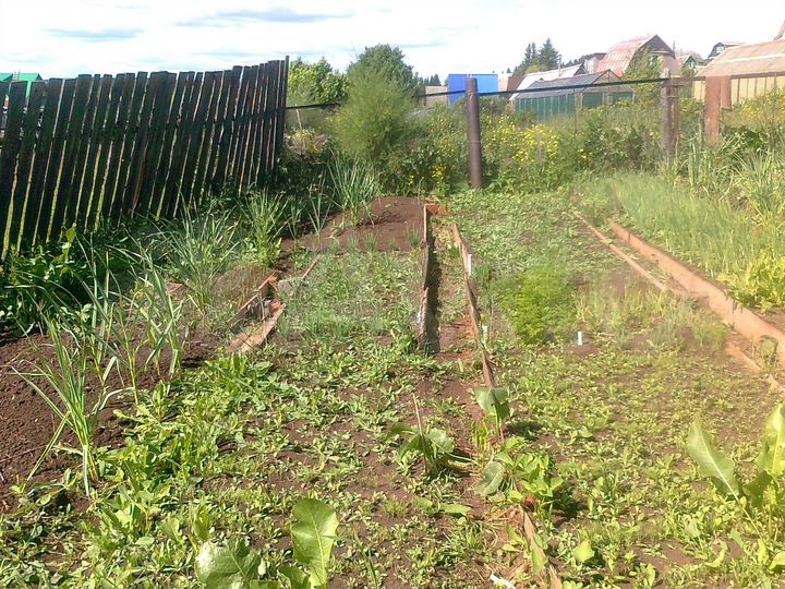 Дача 33 м² на участке 11 сот.