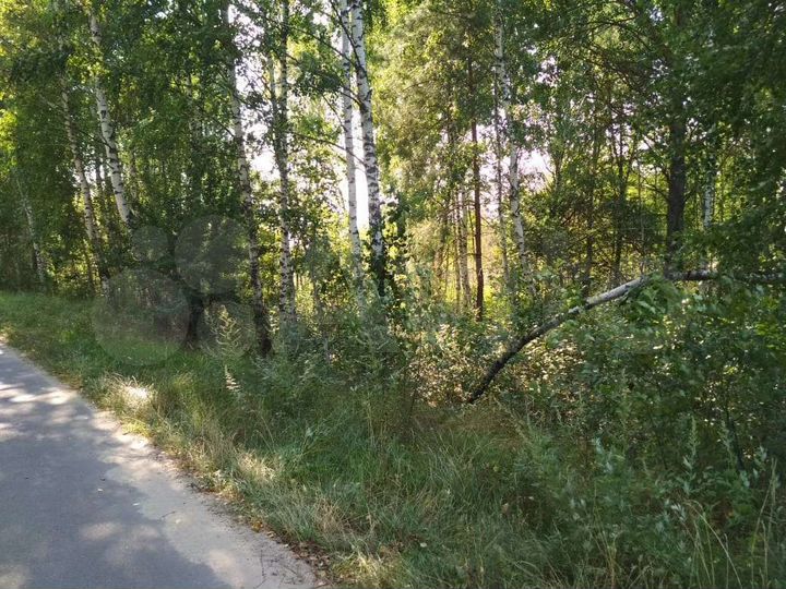 Участок 4 га (СНТ, ДНП)