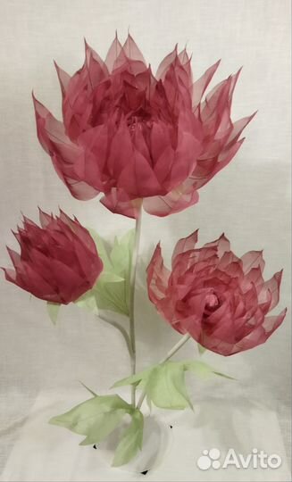 Цветы ростовые и фотозоны