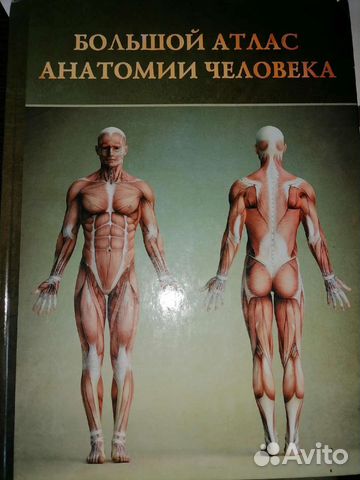 Атлас по анатомии