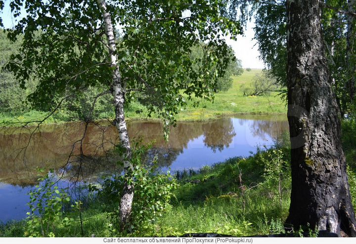 Участок 6 га (СНТ, ДНП)