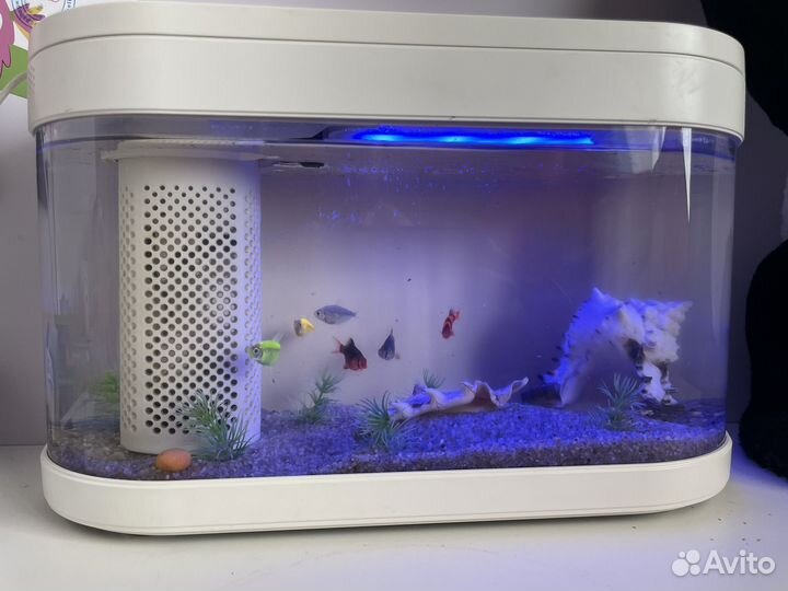 Аквариум xiaomi