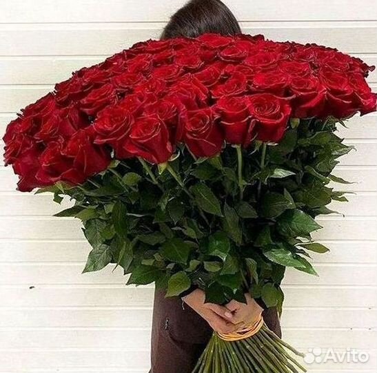 Цветы розы букеты 25 31 35 51 101 251 Доставка