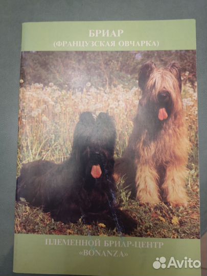 Брошюра бриар