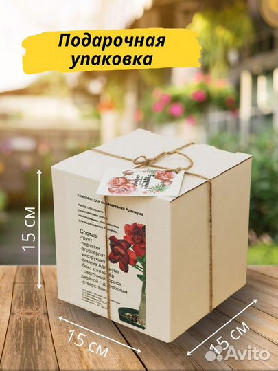 Комнатные цветы адениум