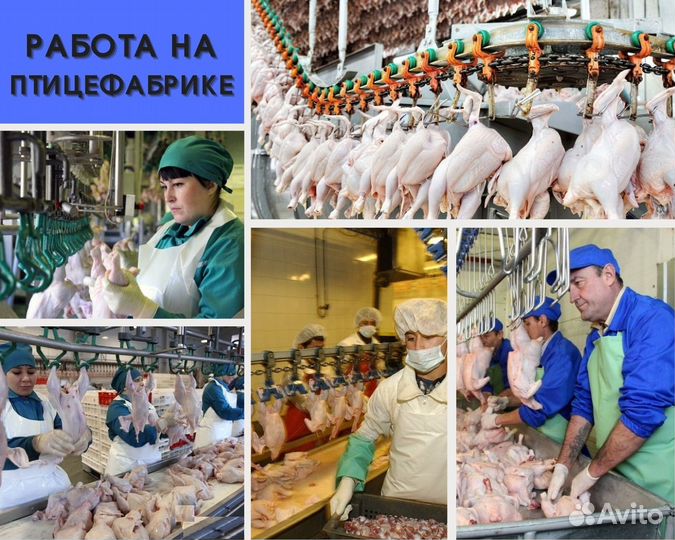 Вахта. Упаковка продукции. Ростовская область