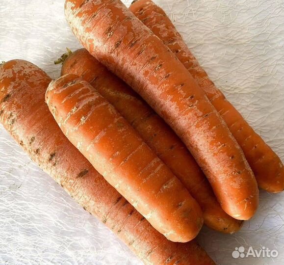 Доставка продуктов питания