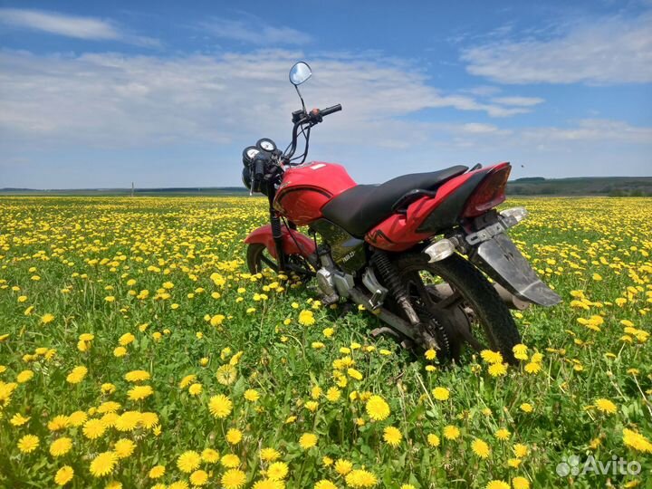 Продам мопед