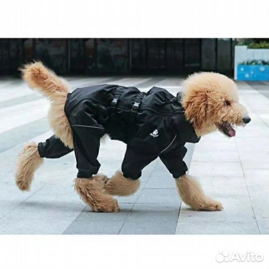 Одежда и обувь для маленьких и крупных собак