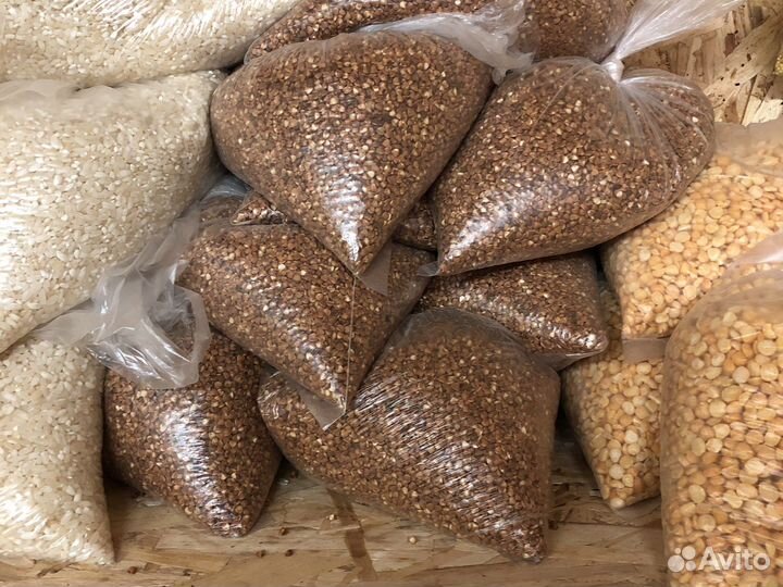 Гречка крупы