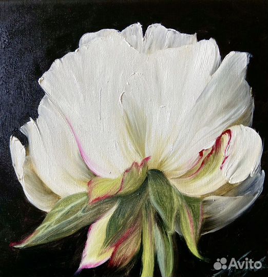 Картина Пион-символ любви