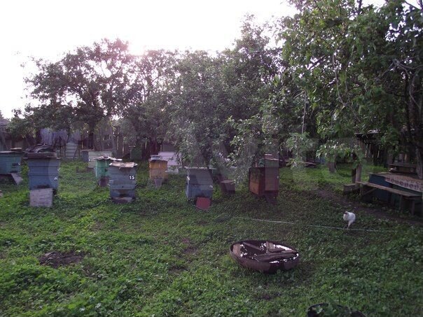 Дом 74 м² на участке 40 сот.