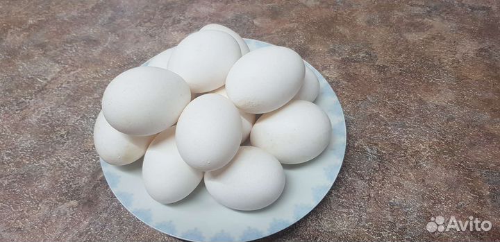 Домашние куриные яйца