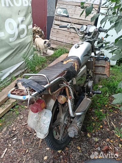 Рейсер альфа