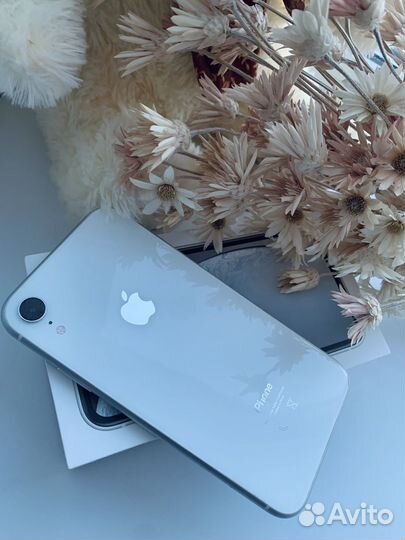 Apple iPhone xr 64gb