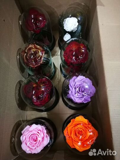 Роза в колбе розница и опт в наличии, от
