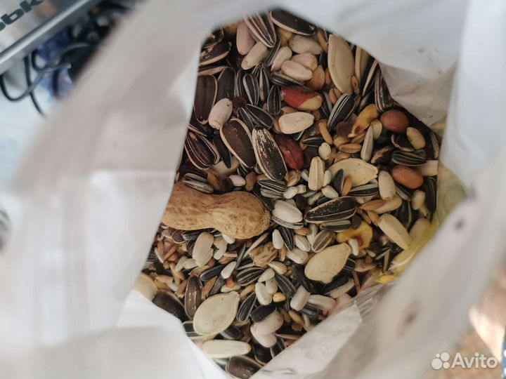 Корм для больших попугаев