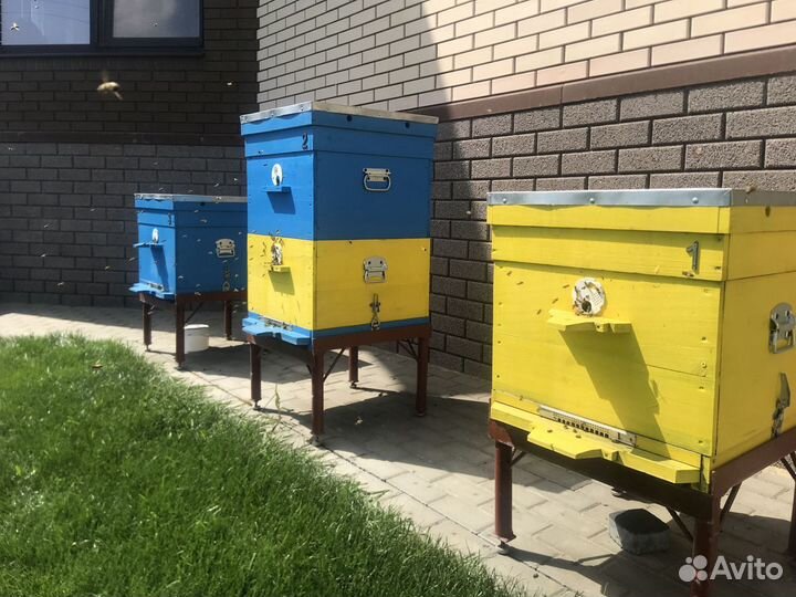 Пчелопакет