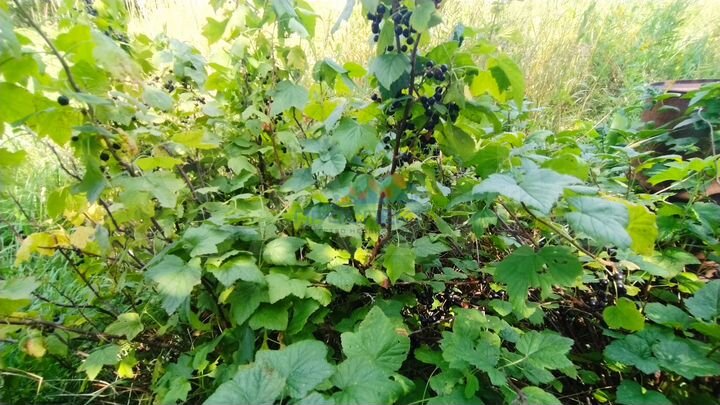 Дом 139,2 м² на участке 18 сот.