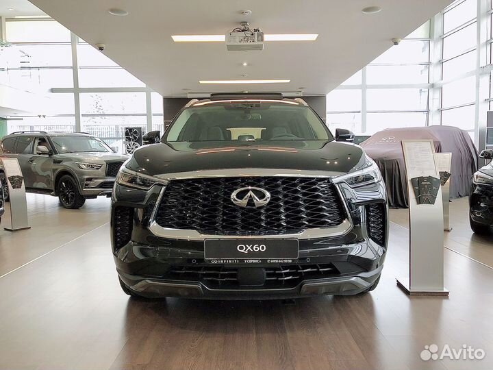 Infiniti QX60 3.5 AT, 2023