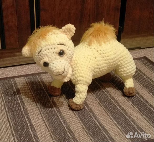 Верблюжонок Боря