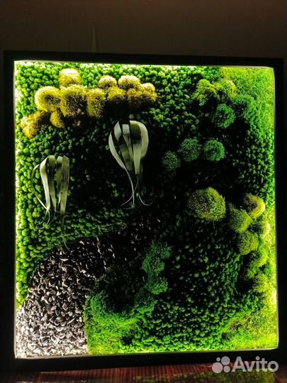Уникальное панно 50х100 см Мох + подсветка, декор для интерьера