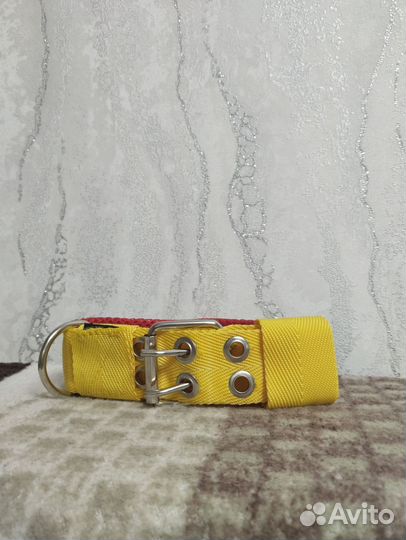 Ошейник для собак